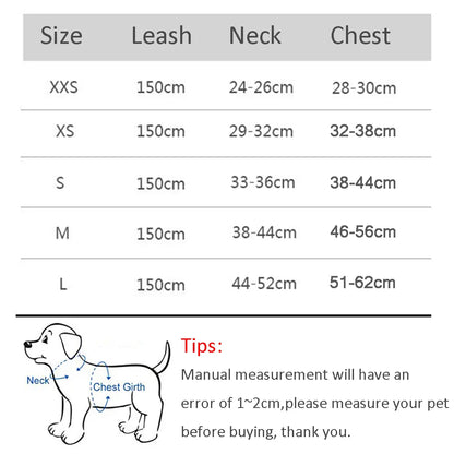 Dog Harness Leash Set for Small Dogs